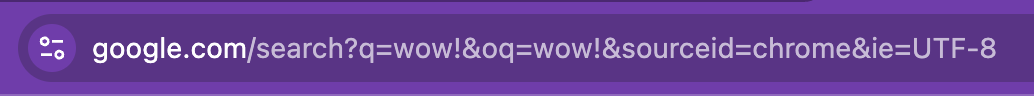 Multiple query parameters on google.com
